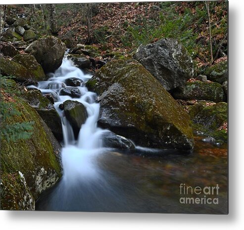 Brook Metal Print featuring the photograph Town Line Brook by Steve Brown