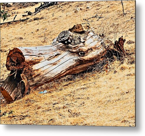 Tree. Log Metal Print featuring the photograph Tree Stump Hillside by Andrew Lawrence