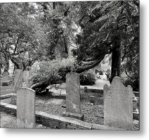 Beaufort Metal Print featuring the photograph Treenado BW by Lee Darnell