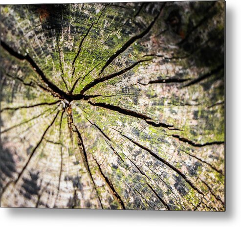2019 Metal Print featuring the photograph Up or Down by Gerri Bigler