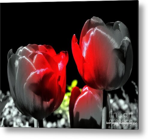 Tulips Metal Print featuring the photograph We'll Have Manhattan by Tami Quigley