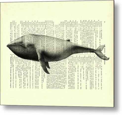 Whale Metal Print featuring the mixed media Whale on book page by Madame Memento