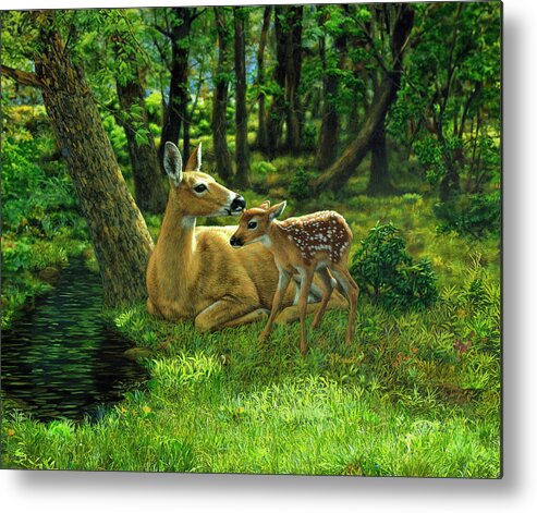 Deer Metal Print featuring the painting Whitetail Deer - First Spring by Crista Forest