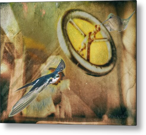 Bird Metal Print featuring the photograph Untitiled00ud by Paul Vitko