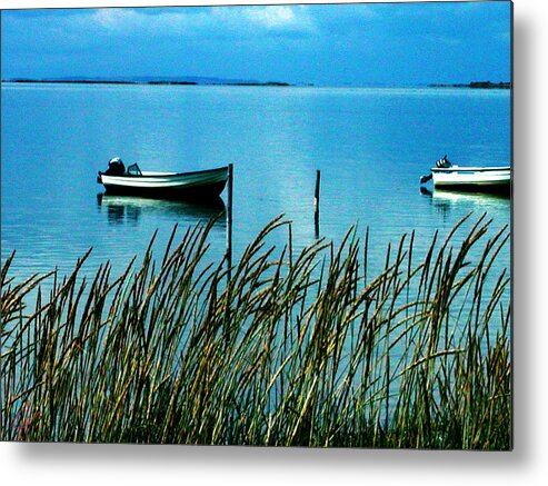 Colette Metal Print featuring the photograph Peaceful Samsoe Island Denmark by Colette V Hera Guggenheim