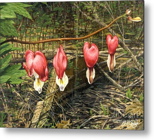 Bleeding Hearts Painting Metal Print featuring the painting Bleeding Hearts #1 by Bob George