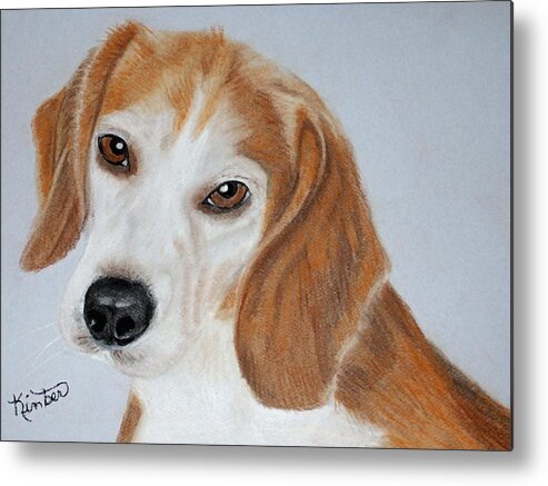 Beagle Pastel Canvas Print Metal Print featuring the pastel Brown Eyed Girl #1 by Kimber Butler