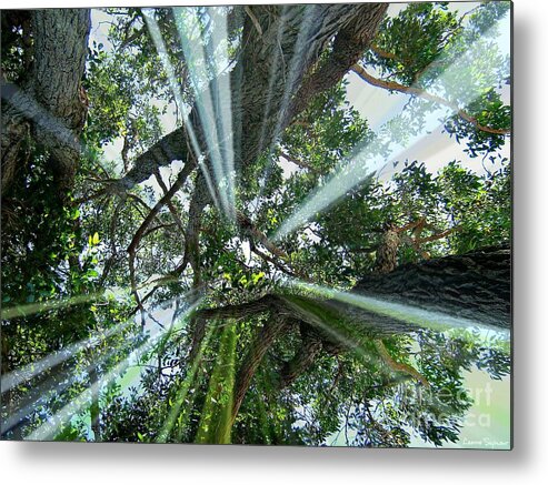 Trees Metal Print featuring the mixed media Divinity In Nature by Leanne Seymour