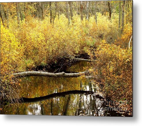 Golden Metal Print featuring the photograph Golden Creek #1 by Sharon Woerner