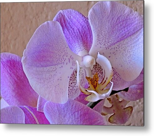 Floral Metal Print featuring the photograph Grace and Elegance #2 by Lynda Lehmann