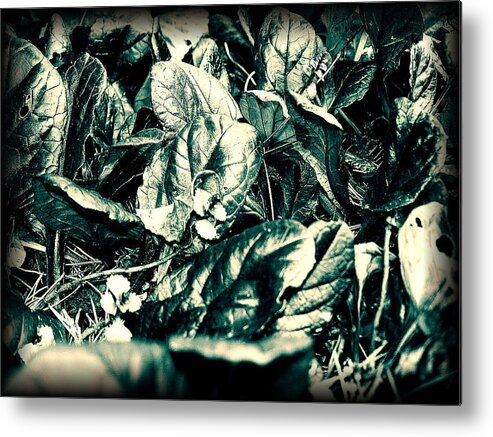  Metal Print featuring the digital art Leaf 1 #1 by The Lovelock experience