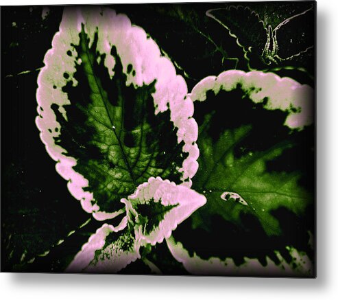  Metal Print featuring the digital art Leaf 10 #1 by The Lovelock experience