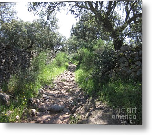 Path Metal Print featuring the photograph Path near Almoharin #1 by Chani Demuijlder