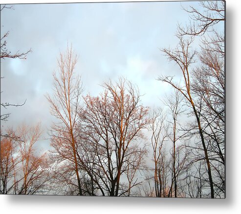 Winter Metal Print featuring the photograph Season's Change #1 by The Art of Marsha Charlebois