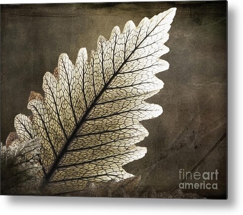 Leaf Metal Print featuring the photograph Shapes of Hawaii 2 by Ellen Cotton