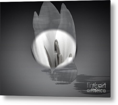 Flower Metal Print featuring the photograph Translucent Flower #1 by Keith Lyman