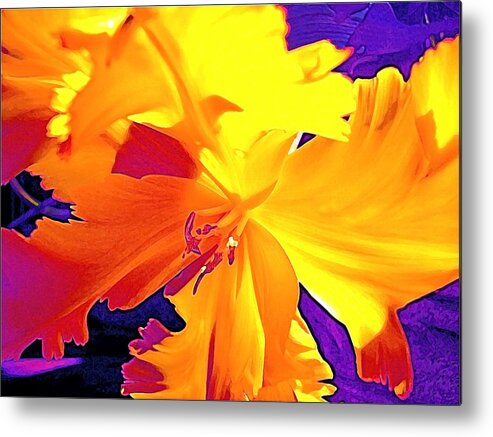 Flower Metal Print featuring the photograph Tulip 6 #1 by Pamela Cooper