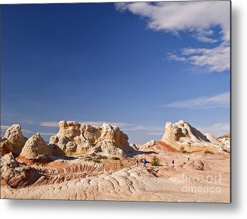 Landscape Metal Print featuring the photograph White Pocket #1 by Alex Cassels