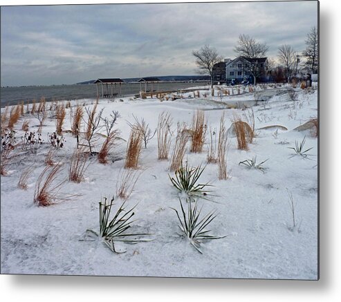 Beach Grass Metal Print featuring the photograph Blowing in the wind by Janice Drew