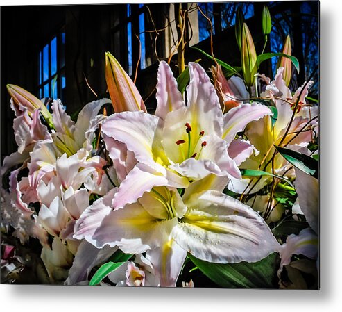 Lilies Metal Print featuring the photograph Lilies Out Of The Shadows by Len Romanick