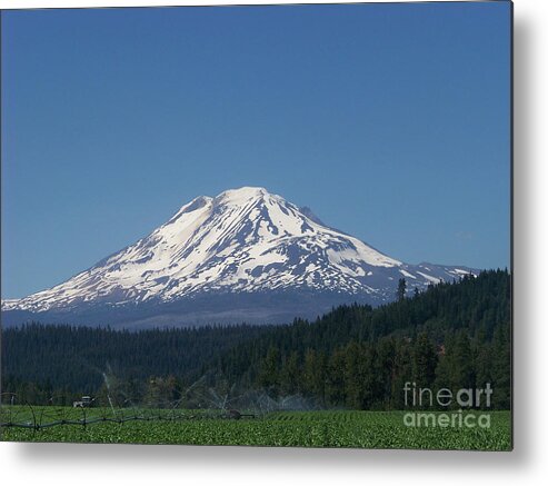 Mt Adams Metal Print featuring the photograph Mt Adams #2 by Charles Robinson