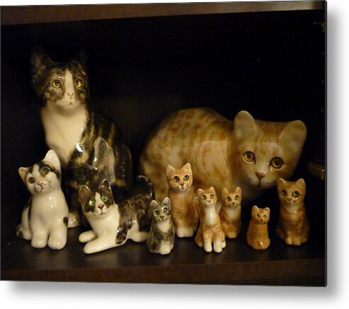 Cats Metal Print featuring the photograph Winstanley Cats #2 by Jeanette Oberholtzer