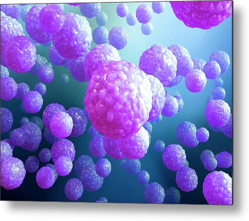 Stem Cell Metal Print featuring the photograph Stem Cells #22 by Maurizio De Angelis/science Photo Library