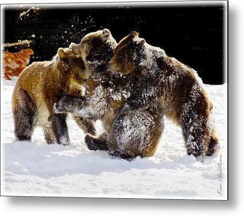 Grizzlies Metal Print featuring the photograph 300 Pound Playmates by Kae Cheatham