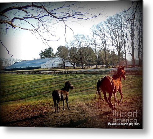 Horse Metal Print featuring the photograph 45 and Going Strong by Rabiah Seminole