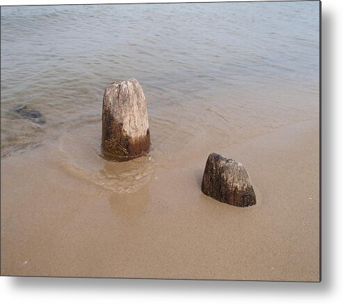 Saugatuck Metal Print featuring the photograph Oval Beach #7 by Curtis Krusie