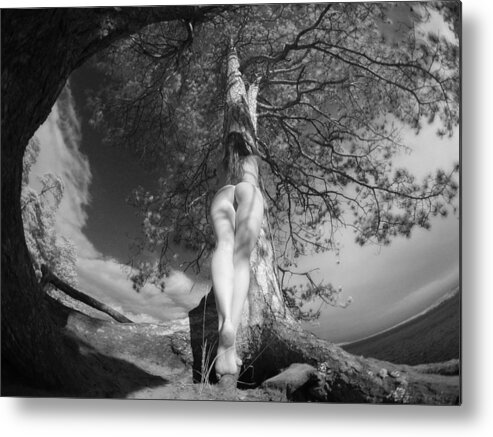 Water Metal Print featuring the photograph 9102 Tree of Life Nude by Pine by Chris Maher