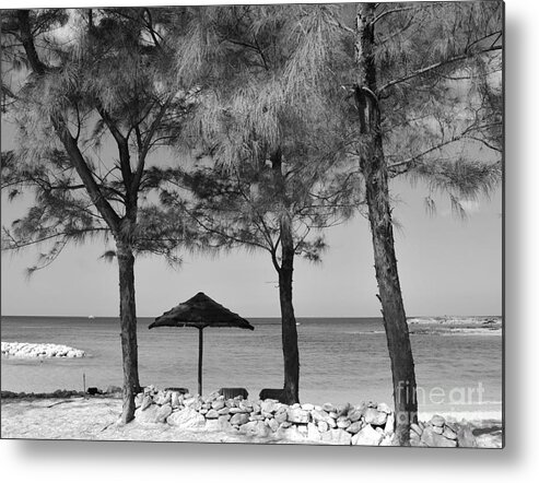 Black Metal Print featuring the photograph A Bahamas Scene In Black And White by Bob Sample