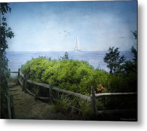 Cape_cod Metal Print featuring the photograph A song of what will be... by Lianne Schneider