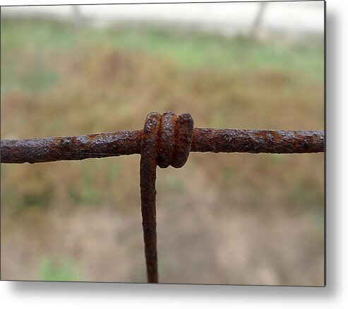 Richard Reeve Metal Print featuring the photograph A Twist of Wire by Richard Reeve