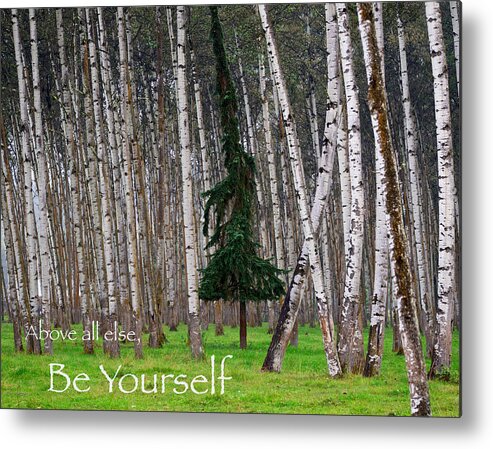 Trees Metal Print featuring the photograph Above All Else Be Yourself by Mary Lee Dereske