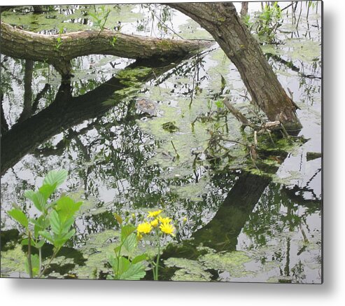 Abstract Metal Print featuring the photograph Abstract Nature 2 by Rosita Larsson