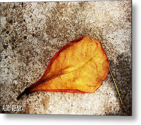 Abstract Photography Metal Print featuring the photograph Abstract by Sri venkat Subu