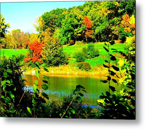 Across The Pond Metal Print featuring the photograph Across the Pond by Darren Robinson