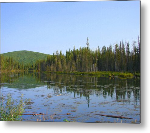 Alaska Metal Print featuring the photograph Alaska River Swamp by Lew Davis