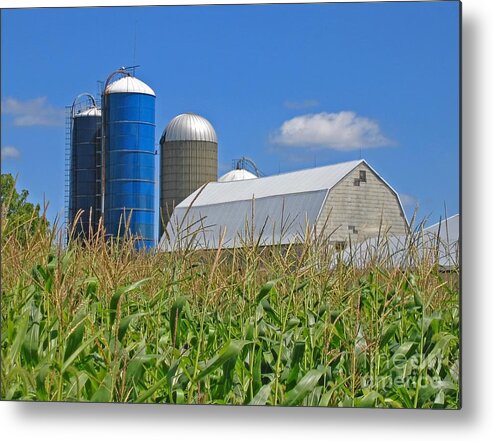 Harvest Metal Print featuring the photograph Almost Harvest Time by Ann Horn