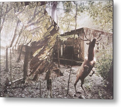 Elk Metal Print featuring the photograph Amidst by Lexi K