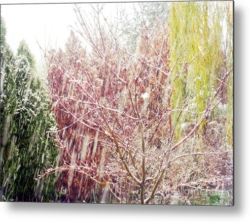 Snow Metal Print featuring the photograph An Early Snowfall by Alys Caviness-Gober