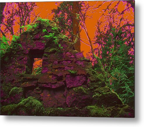 Stone House Metal Print featuring the photograph Anarchy's Playhouse by Laureen Murtha Menzl