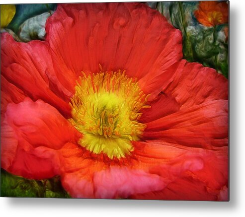 Flowers Metal Print featuring the photograph Ancient Flower 4 - poppy by Lilia S