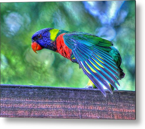 Parrot Metal Print featuring the photograph Animal 3 by Albert Fadel