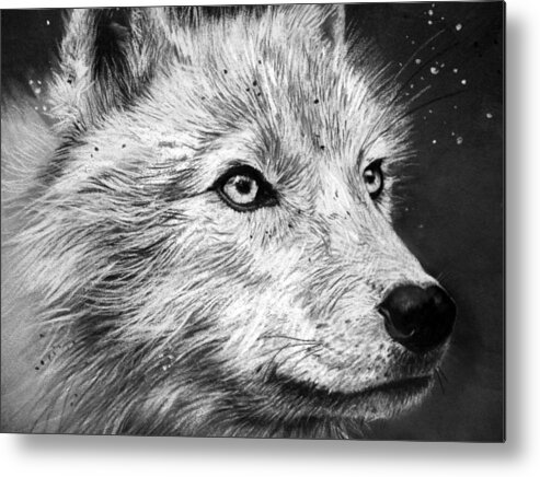 Wolf Metal Print featuring the drawing Arctic Wolf by Sharlena Wood