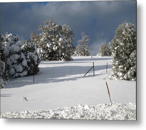  Metal Print featuring the photograph Arizona Snow 3 by Gregory Daley MPSA