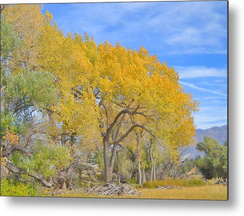 Sky Metal Print featuring the photograph Autumn Colors by Marilyn Diaz