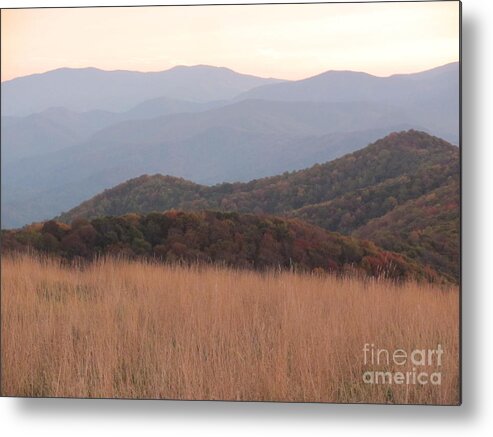 Grass Metal Print featuring the photograph Autumn in the Smokies II by Anita Adams