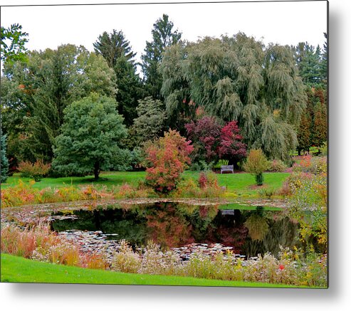 Fall Metal Print featuring the photograph Autumn Pool by Azthet Photography